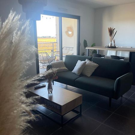 Appartement Vue Vigne ペルピニャン エクステリア 写真