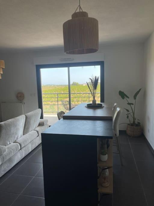 Appartement Vue Vigne ペルピニャン エクステリア 写真