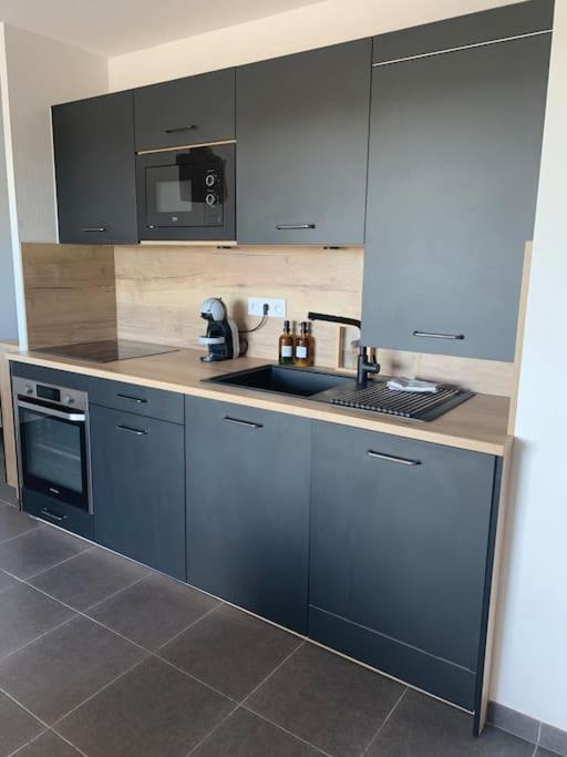 Appartement Vue Vigne ペルピニャン エクステリア 写真