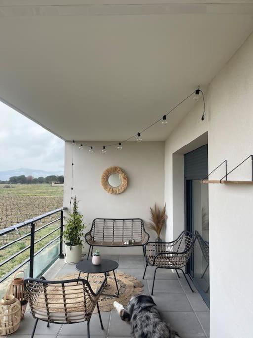 Appartement Vue Vigne ペルピニャン エクステリア 写真