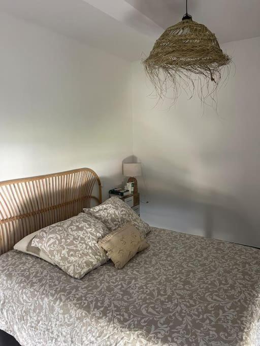 Appartement Vue Vigne ペルピニャン エクステリア 写真