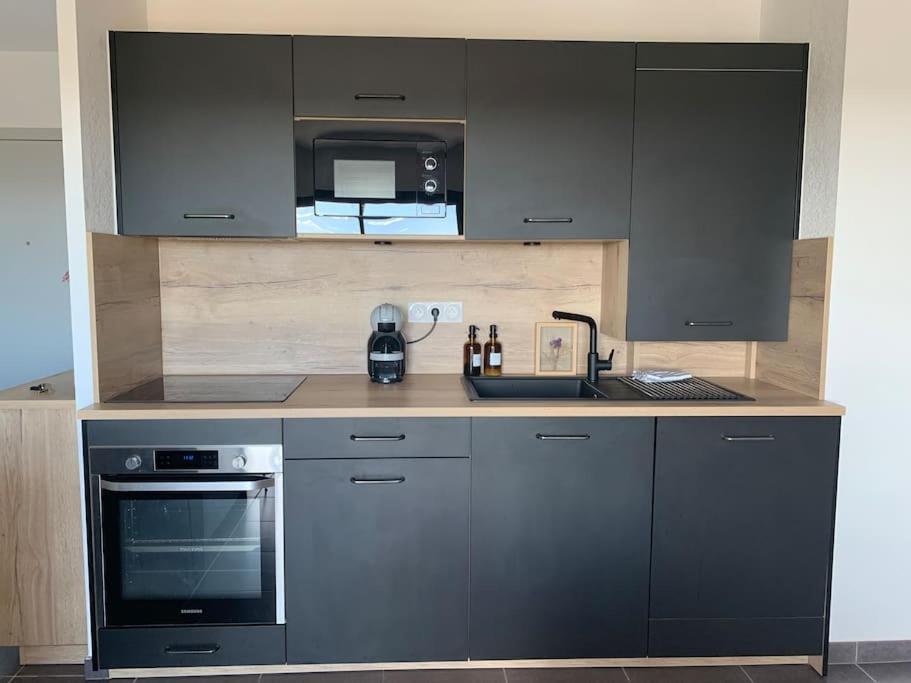 Appartement Vue Vigne ペルピニャン エクステリア 写真