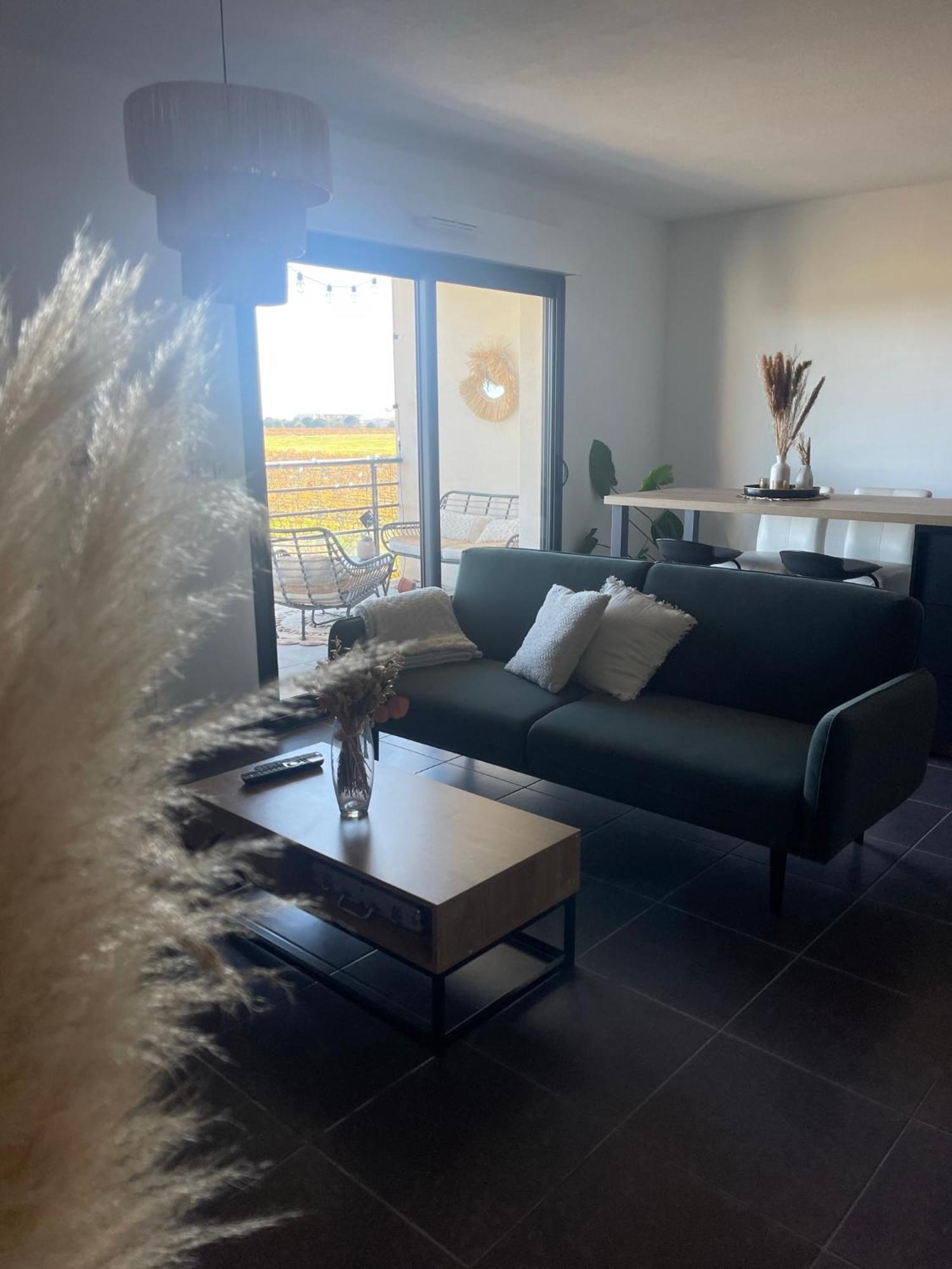 Appartement Vue Vigne ペルピニャン エクステリア 写真