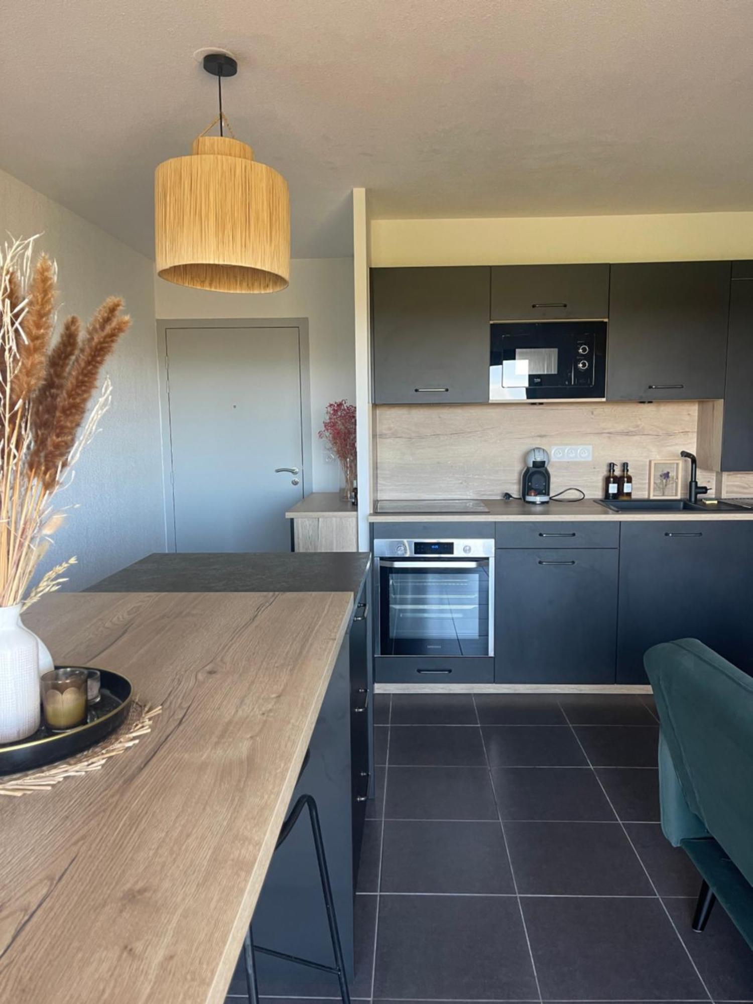 Appartement Vue Vigne ペルピニャン エクステリア 写真