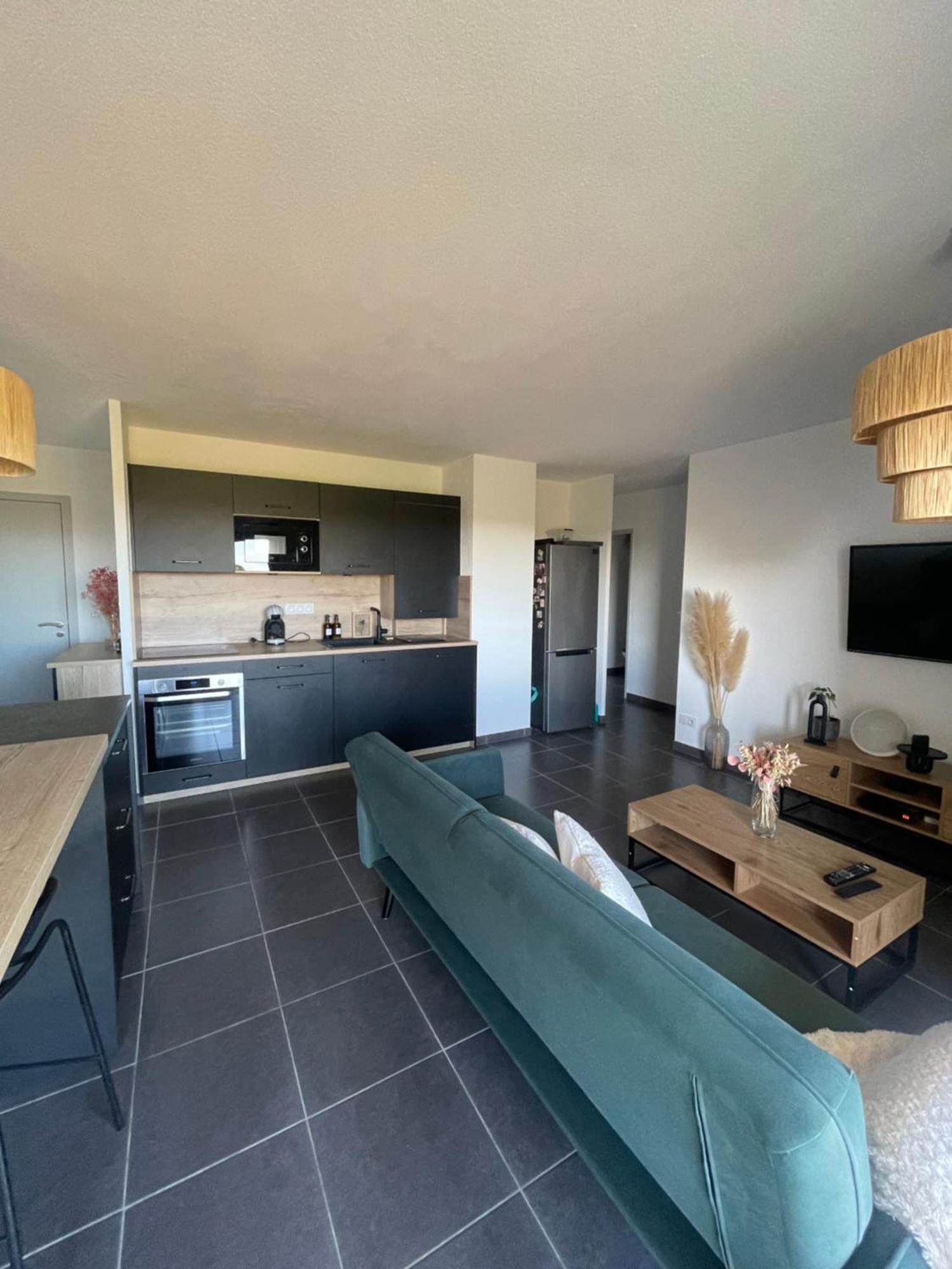 Appartement Vue Vigne ペルピニャン エクステリア 写真